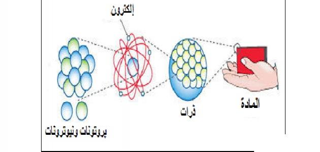 بحث عن الباندا