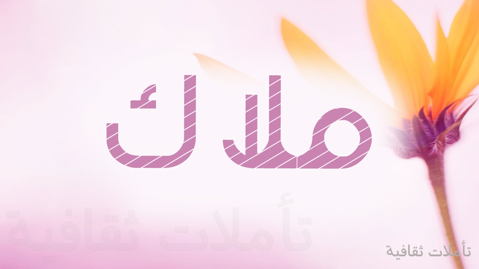 خلفيات اسم ملك