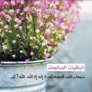 صور مكتوب عليها اقوال الشيخ الشعراوي رمزيات اسلامية للواتس اب موقع العنان