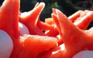 البطيخ 1 450x281 300x187 صور بطيخ احمر جميل , رمزيات من فاكهة البطيخ الاحمر