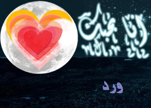 صور اسم ورد مزخرف انجليزى معنى اسم ورد و شعر و غلاف و رمزيات موقع العنان