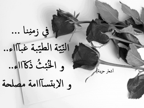 صفي النيه