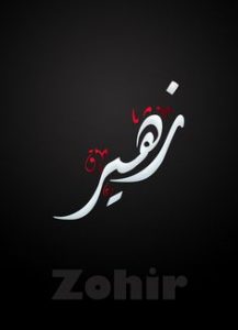 87d44f5162300af676535e5c1a89b990 217x300 صور اسم زهير مزخرف , معني اسم زهير المنام انجليزي عربي