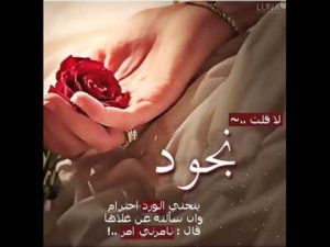 صور اسم نجود مزخرف انجليزى معنى اسم نجود و شعر و غلاف و رمزيات موقع العنان