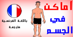 n4hr 14865034406510 300x154 معنى اعضاء جسم الانسان باللغة الفرنسية