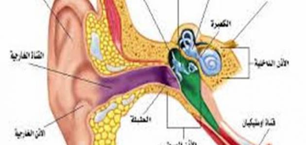 أسباب التهاب الأذن الوسطى موقع العنان