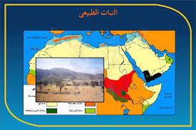 بحث عن الأقاليم المناخية والنبات الطبيعي موقع العنان