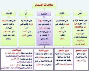 كم كلمة في اللغة العربية