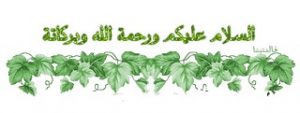  الوطواط؟ Image100011_3-300x113